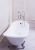 Чугунная ванна Goldman Bristol 170*76*50*55, на "орлиных когтях", в комплекте с сифоном и ножками в Усть-Лабинске